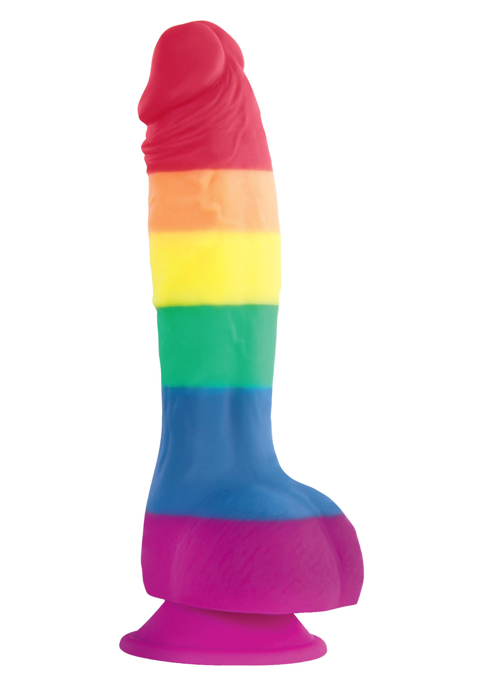 Pride Edition 6 Inch Dildo, 15 cm, Multicolor