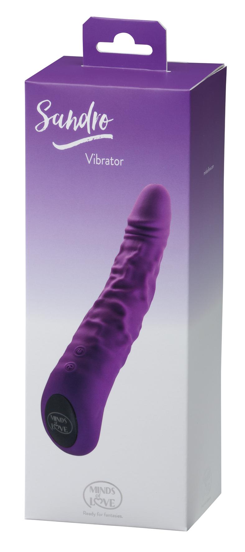 MINDS of LOVE Sandro, Vibrator, Purple