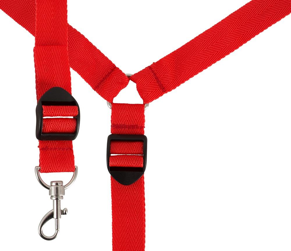 Bad Kitty Bed Restraint Set, red