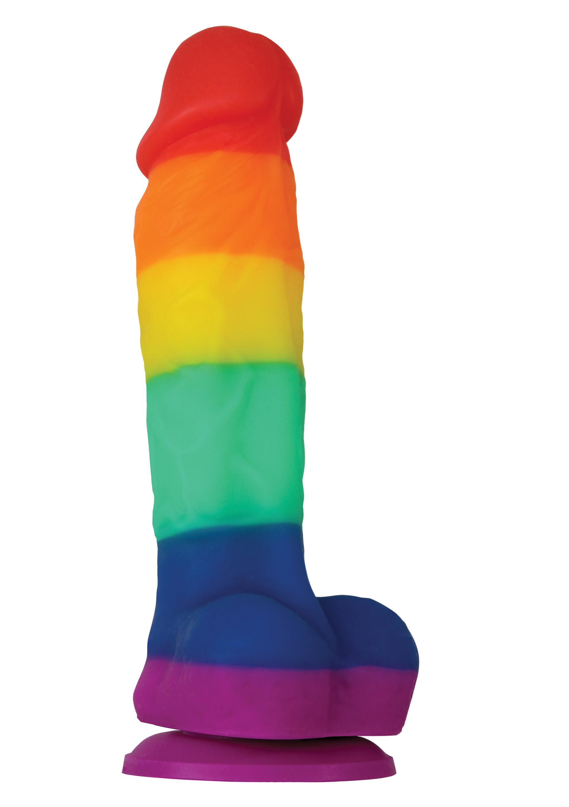 Pride Edition 5 Inch Dildo, 13 cm, Multicolor