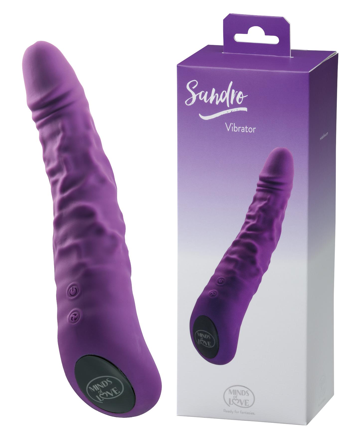 MINDS of LOVE Sandro, Vibrator, Purple