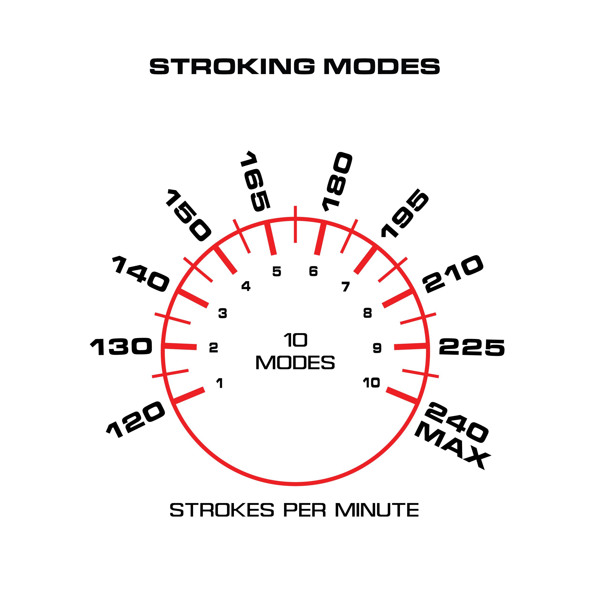 MAXTASY - Stroke Master+ Standard - Clear